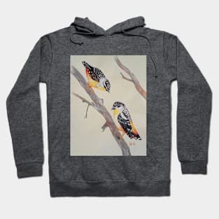 A pair of Australian Perdalotes - birds Hoodie